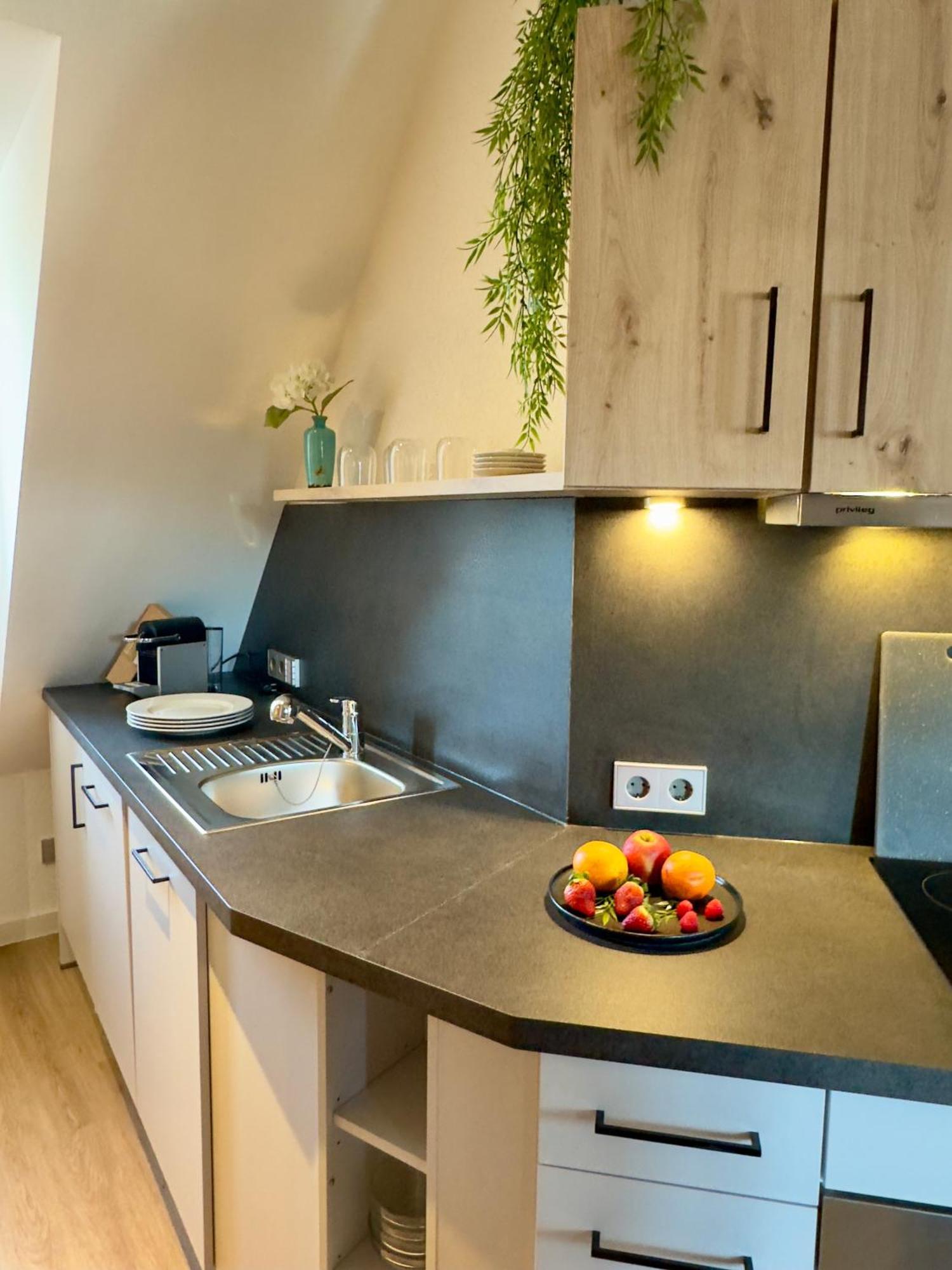 Living & Serviced Apartments By Blauer Wolf 군젠하우젠 외부 사진